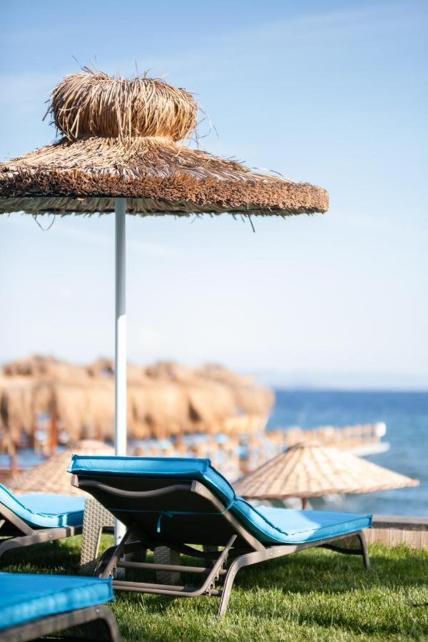 Ida Colors Hotel Altınoluk Εξωτερικό φωτογραφία
