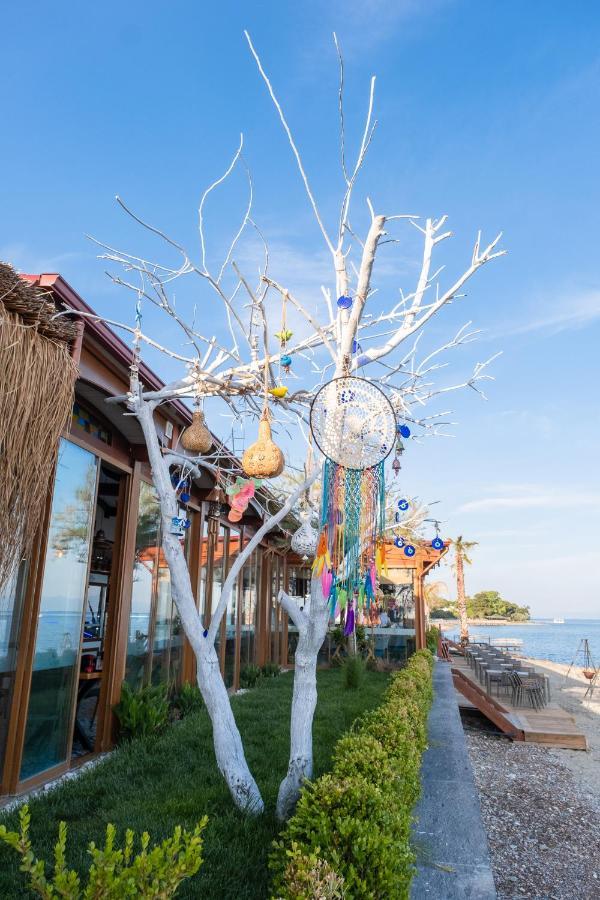 Ida Colors Hotel Altınoluk Εξωτερικό φωτογραφία
